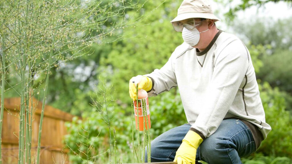 Pest Control Exam & Prep Course Athens Technical College