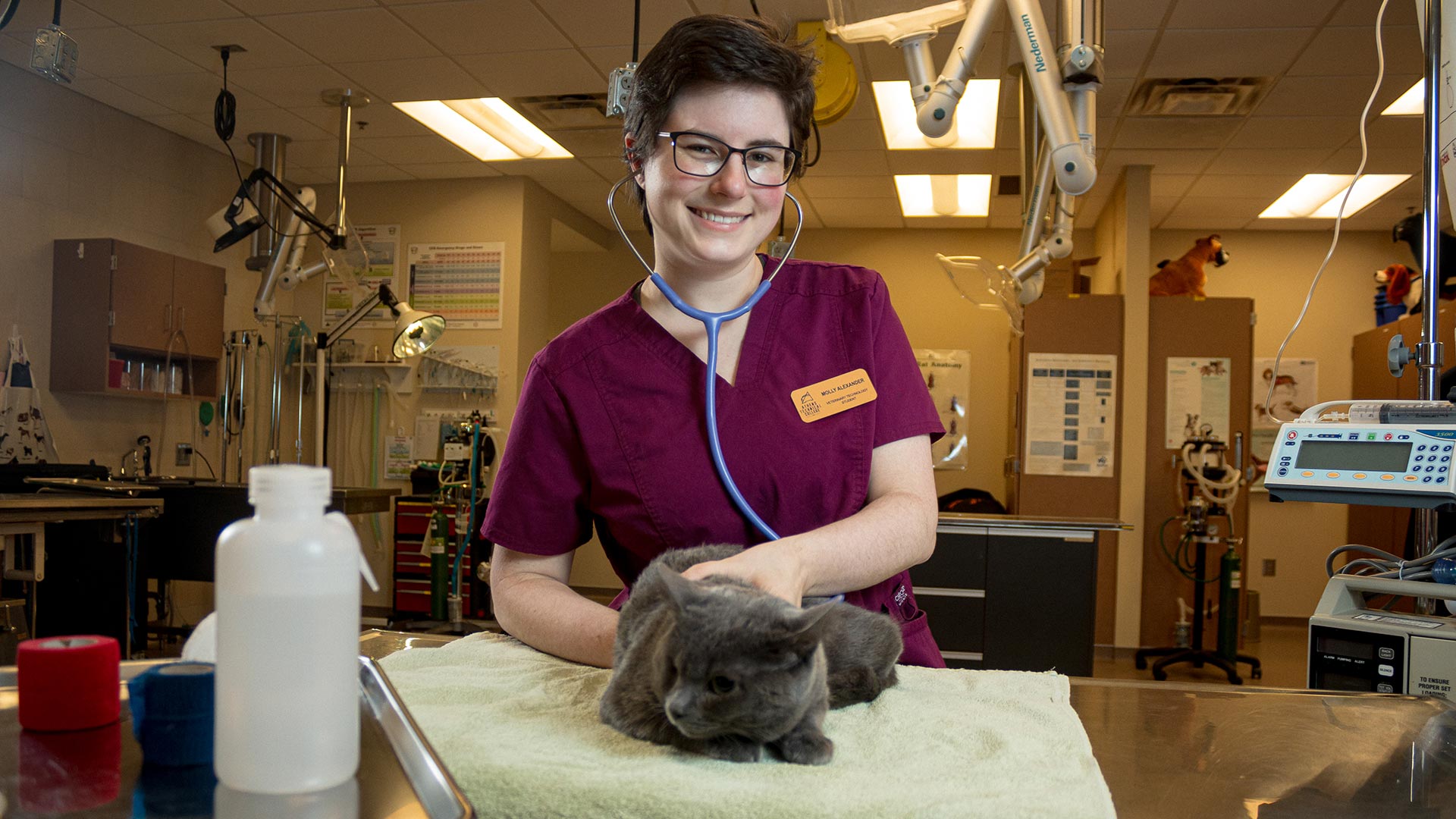 Veterinary Technology
